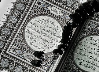 ર૭. સૂરઃ નમ્લ