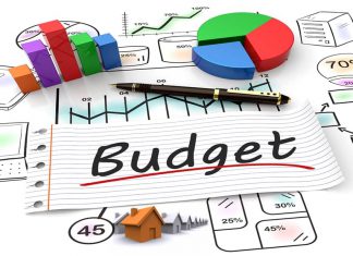 શબ્દોની આરસીમાં બજેટ