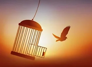 સ્વતંત્રતા સામેના જોખમને દરેક સ્વતંત્ર નાગરિકે સમજવું જોઈએ