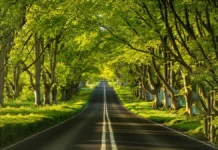 સફળતાનો માર્ગ ખોલનાર ગ્રંથ