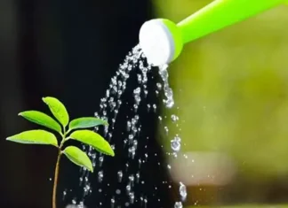 અત્યંત જરૂરી : વ્યક્તિત્વ વિકાસ