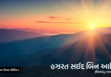 હઝરત સઈદ બિન આમિર રદિયલ્લાહુ તઆલા અન્હુ