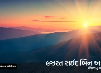 હઝરત સઈદ બિન આમિર રદિયલ્લાહુ તઆલા અન્હુ