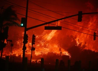 લોસ એન્જલસની આગ